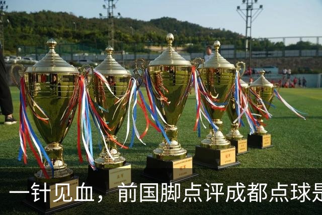 一针见血，前国脚点评成都点球是误判，批评天王山之战水平太低