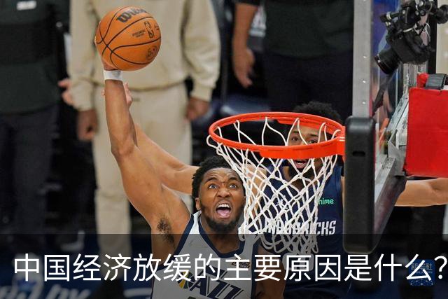 中国经济放缓的主要原因是什么？