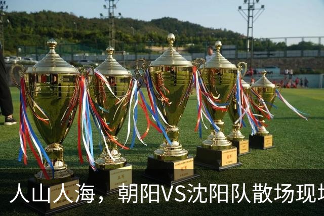 人山人海，朝阳VS沈阳队散场现场来了！（图+视频）