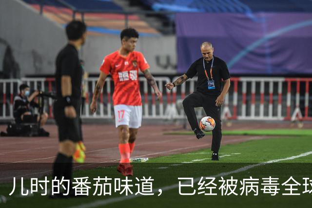 儿时的番茄味道，已经被病毒全球灭绝了20多年