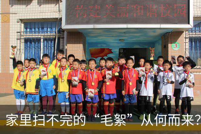 家里扫不完的“毛絮”从何而来？老保姆教你妙招，室内瞬间变干净
