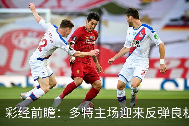 彩经前瞻：多特主场迎来反弹良机，法兰克福防线难挡大黄蜂
