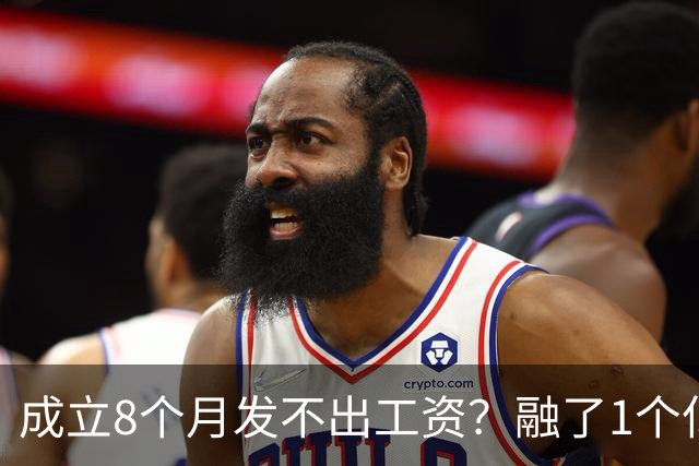 成立8个月发不出工资？融了1个亿的机器人公司，把行业遮羞布掀了