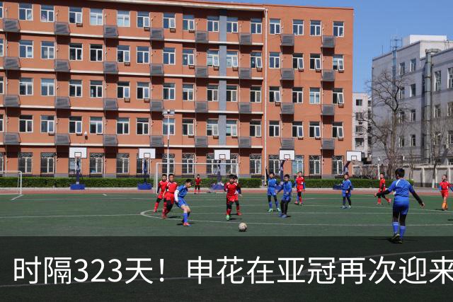 时隔323天！申花在亚冠再次迎来这位久违的重量级强援复出，值得期待