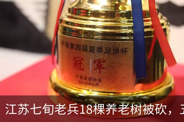 江苏七旬老兵18棵养老树被砍，五次赴省反映后被送派出所