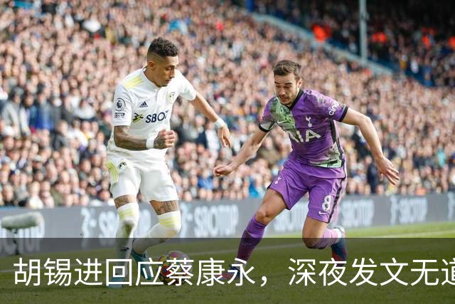 胡锡进回应蔡康永，深夜发文无道歉态度不软，依旧不说我是中国人
