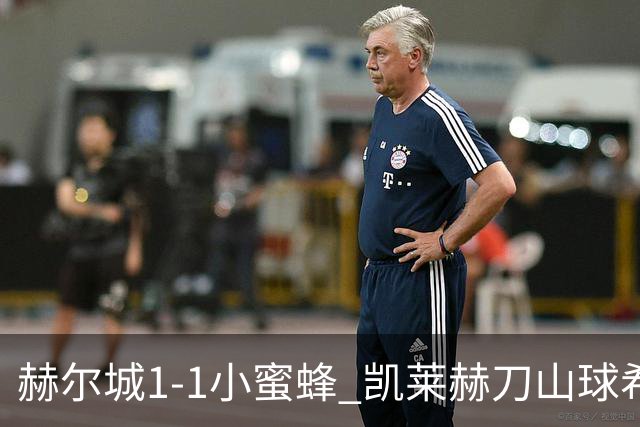 赫尔城1-1小蜜蜂 凯莱赫刀山球希基送点 麦克伯尼点射瓦塔拉扳平