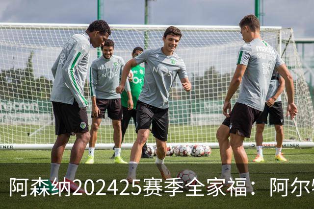 阿森纳2024/25赛季全家福：阿尔特塔&厄德高坐C位